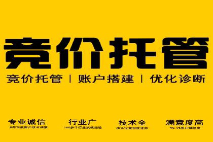 SEM公司案例研究：搜索引擎营销效果评估与优化